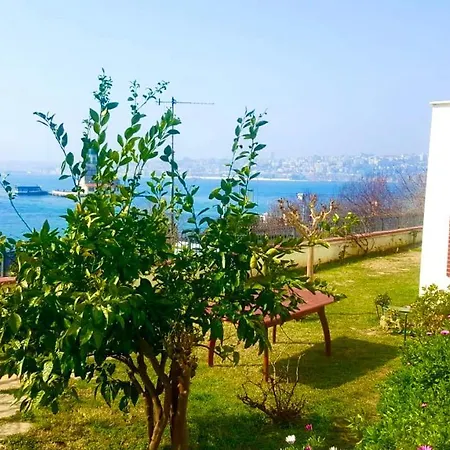 Historical Mansion With Magnificent View
